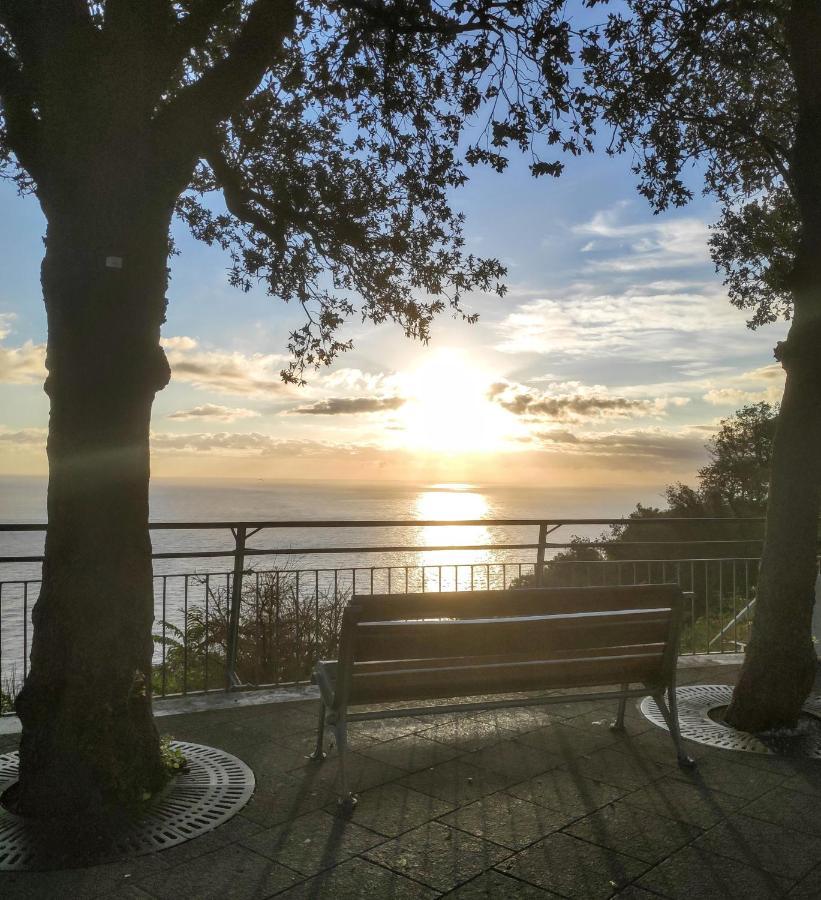 Appartamento L'Azalea - A Due Passi Da Numana Con Grande Terrazzo E Piscina Condominiale Stagionale Сироло Экстерьер фото