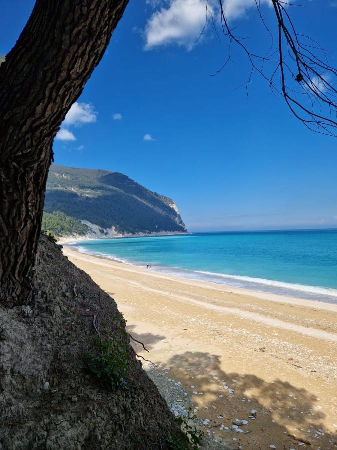 Appartamento L'Azalea - A Due Passi Da Numana Con Grande Terrazzo E Piscina Condominiale Stagionale Сироло Экстерьер фото